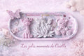 Plateau naissance personnalisée bébé, cadeau anniversaire, naissance, décoration chambre enfant, création artisanale